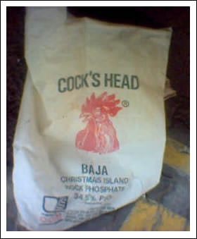 cock's head phosphate sack